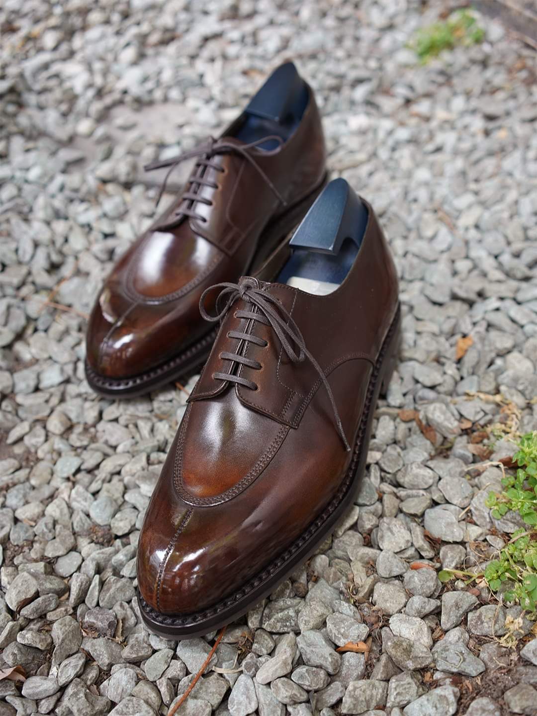 Brown Leather Galatea Whole Cut Oxfords 