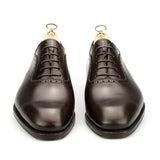 Height Increasing Brown Leather Paveley Brogue Oxfords